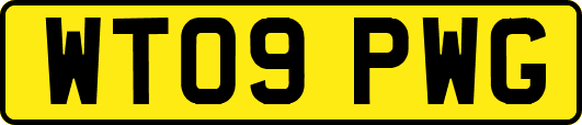 WT09PWG