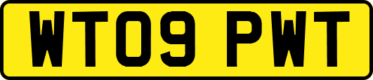 WT09PWT