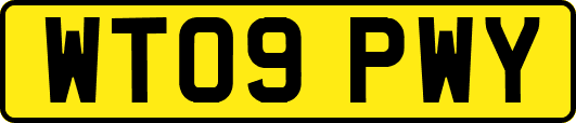 WT09PWY