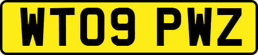 WT09PWZ