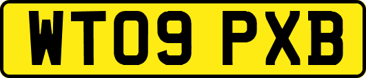 WT09PXB