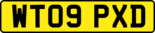WT09PXD