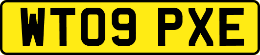 WT09PXE