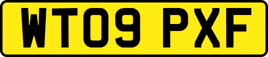 WT09PXF