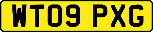 WT09PXG