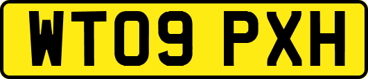 WT09PXH