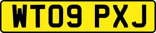 WT09PXJ