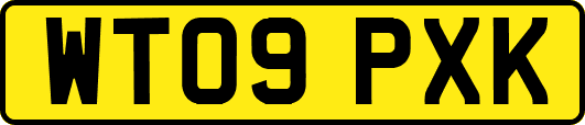 WT09PXK