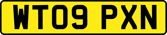 WT09PXN