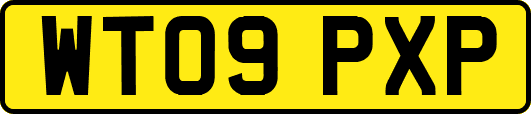 WT09PXP