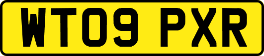 WT09PXR