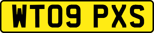 WT09PXS