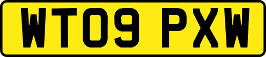 WT09PXW