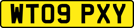 WT09PXY