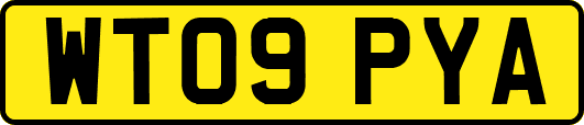 WT09PYA