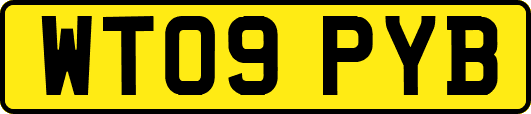 WT09PYB