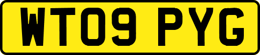 WT09PYG