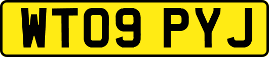 WT09PYJ