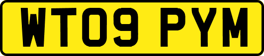 WT09PYM