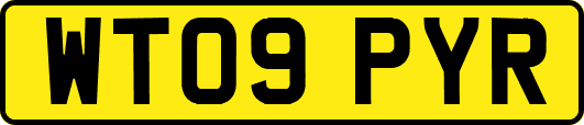 WT09PYR