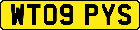 WT09PYS