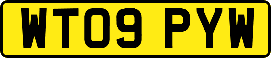 WT09PYW