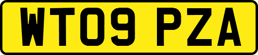 WT09PZA