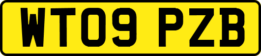 WT09PZB