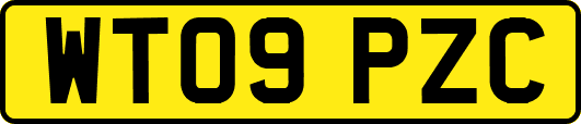 WT09PZC