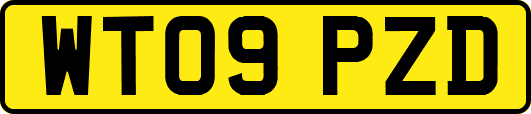WT09PZD
