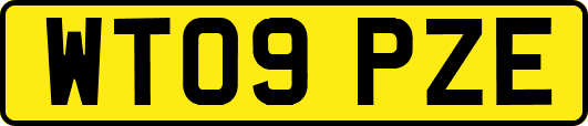 WT09PZE