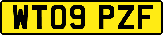 WT09PZF