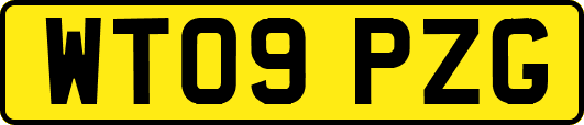 WT09PZG