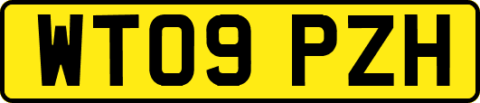 WT09PZH