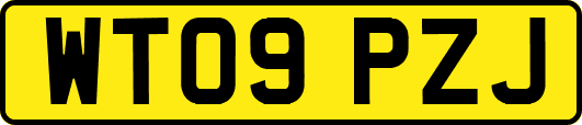 WT09PZJ