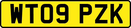 WT09PZK