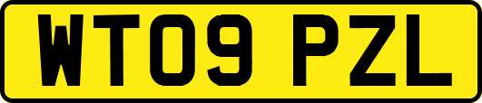 WT09PZL