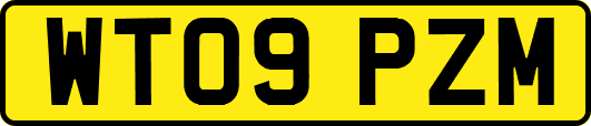 WT09PZM