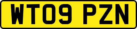 WT09PZN