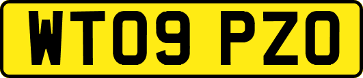 WT09PZO