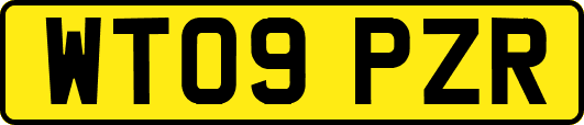 WT09PZR