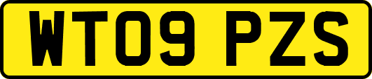 WT09PZS