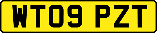 WT09PZT