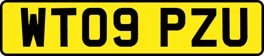 WT09PZU