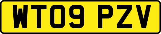 WT09PZV