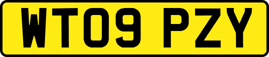 WT09PZY