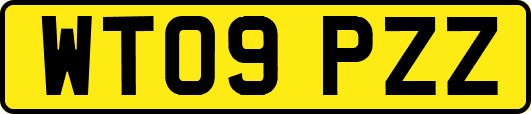 WT09PZZ