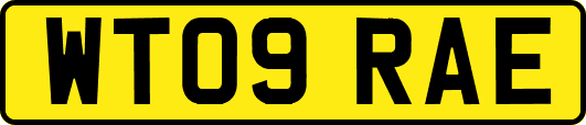 WT09RAE