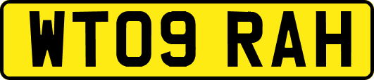 WT09RAH