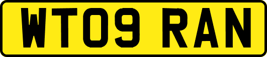 WT09RAN
